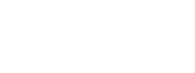 Švaros Partneriai