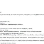 WC valymo priemonė Pro Formula Domestos Professional Toilet Gel Ocean,